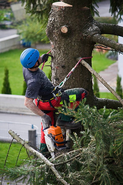 Landscape Design and Installation in Salmon Creek, WA